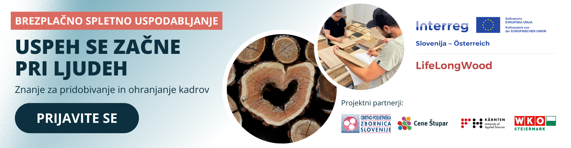 Oglasna pasica za LLW kadrovske delavncie